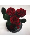 Три бордовые розы премиум в стеклянной колбе