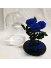 Три синих розы премиум в стеклянной колбе
