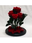 Пять красных роз в стеклянной колбе