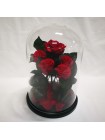 Пять красных роз в стеклянной колбе
