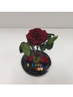 Композиционная бордовая роза в колбе с надписью Я тебя люблю