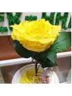 Композиционная желтая роза в колбе с декором ангел и лав