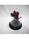 Композиционная кранбери роза классик в колбе 20 со мхом и декором