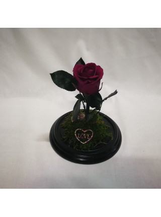 Композиционная кранбери роза классик в колбе 20 со мхом и декором