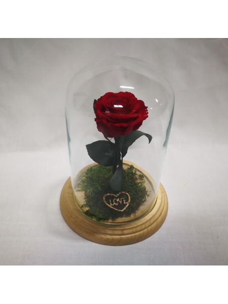 Композиционная красная роза классик в колбе 20 со мхом и декором