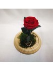 Композиционная красная роза классик в колбе 20 со мхом и декором