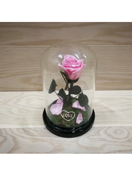 Композиционная розовая роза классик в колбе 20 со мхом и декором