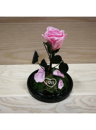 Композиционная розовая роза классик в колбе 20 со мхом и декором