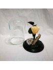 Композиционная персиковая роза классик в колбе 20 с хлопком и декором
