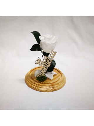 Композиционная белая роза классик в колбе 20 с декором
