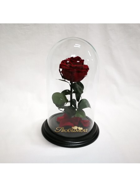 Композиционная бордовая роза премиум в колбе с декором любимая