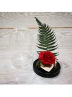 Композиционная красная роза премиум в колбе 20 с папороником и декором с любовью