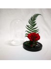 Композиционная красная роза премиум в колбе 20 с папороником и декором париж