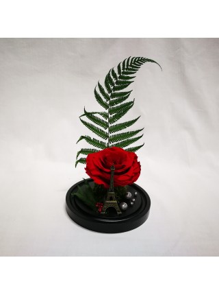 Композиционная красная роза премиум в колбе 20 с папороником и декором париж
