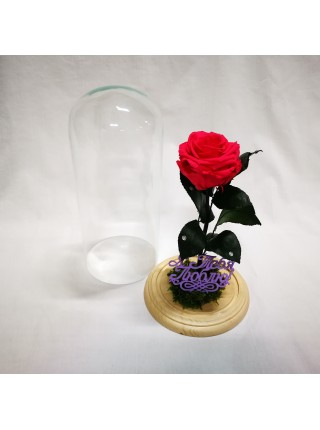Композиционная малиновая роза премиум в колбе 32 с декором мох и надписью