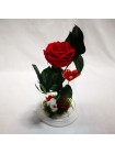 Композиционная красная роза премиум в колбе 32 с декором ангел и сердце