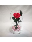 Композиционная малиновая роза премиум в колбе 32 с декором на подставке