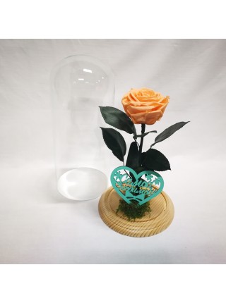 Композиционная персиковая роза премиум в колбе 32 с декором мох и надписью