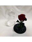 Композиционная бордовая роза премиум в колбе с декором стразы