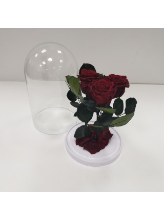 Три бордовых розы классик в стеклянной колбе