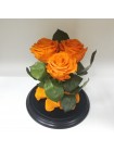 Три оранжевых розы премиум в стеклянной колбе