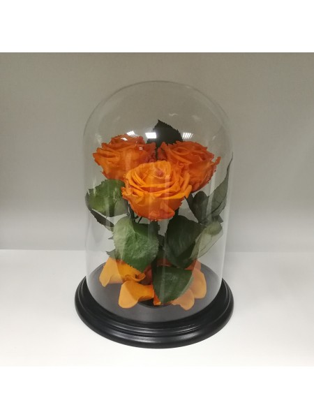 Три оранжевых розы премиум в стеклянной колбе