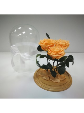Три персиковых розы премиум в стеклянной колбе