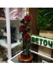 Три бордовых розы премиум в стеклянной колбе эксклюзив