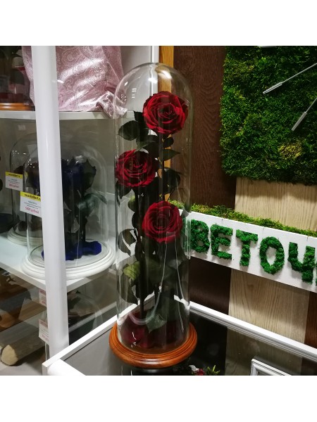Три бордовых розы премиум в стеклянной колбе эксклюзив