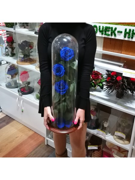Три синих розы премиум в стеклянной колбе эксклюзив