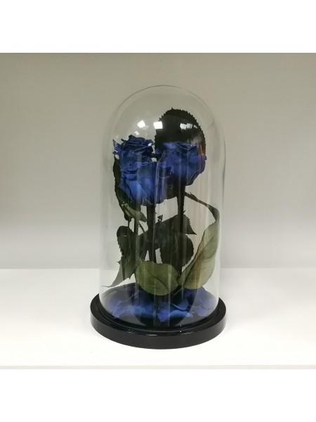 Три синих розы классик в стеклянной колбе