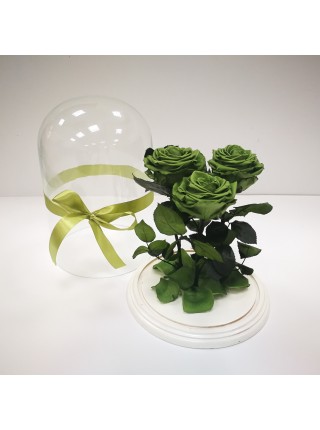 Три зеленых розы премиум в стеклянной колбе