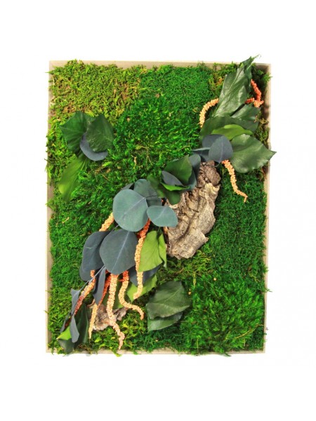 Картина из мха и растений 10