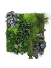 Картина из мха и растений 5