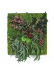 Картина из мха и растений 7