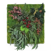 Картина из мха и растений 7
