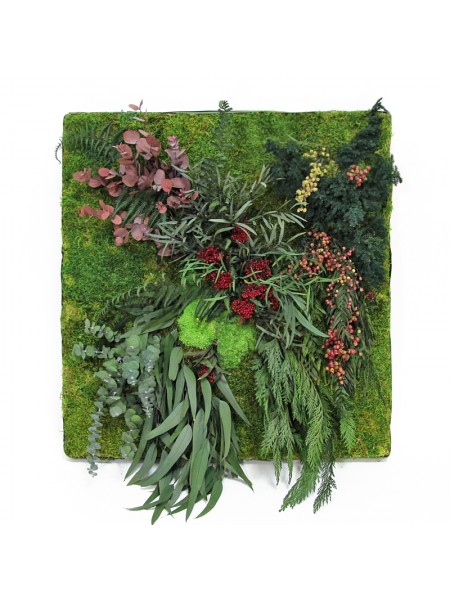 Картина из мха и растений 7