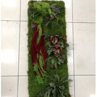 Картина из мха и растений 17