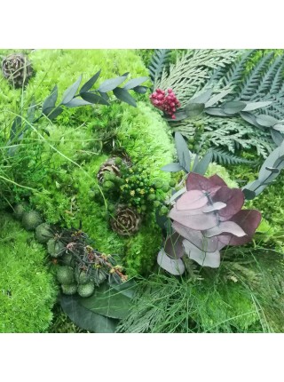 Картина из мха и растений 17