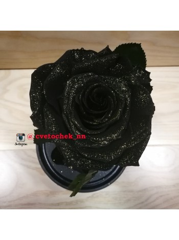 Черная роза с "серебром" в стеклянной колбе королевская