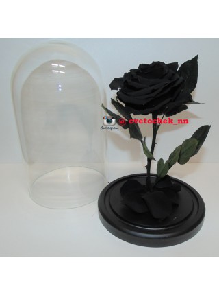Черная роза в стеклянной колбе королевская