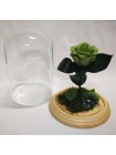 Зеленая роза с декором в стеклянной колбе классик