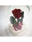 Бордовая роза в стеклянной колбе классик