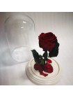 Бордовая роза в стеклянной колбе классик