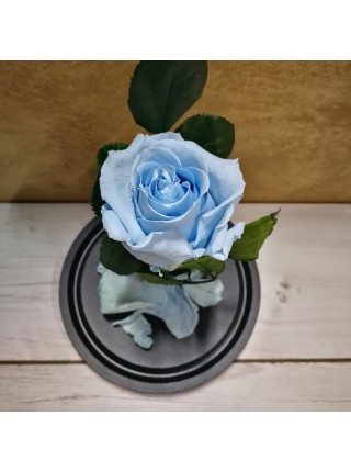 Голубая роза в стеклянной колбе классик