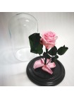 Розовая роза в стеклянной колбе классик