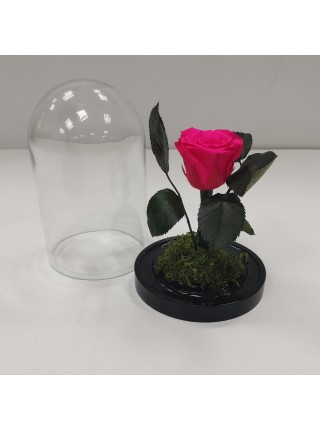 Персиковая роза классик в стеклянной колбе 16