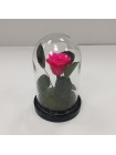 Персиковая роза классик в стеклянной колбе 16