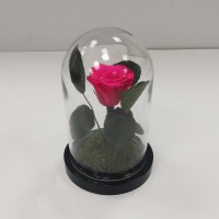 Персиковая роза классик в стеклянной колбе 16