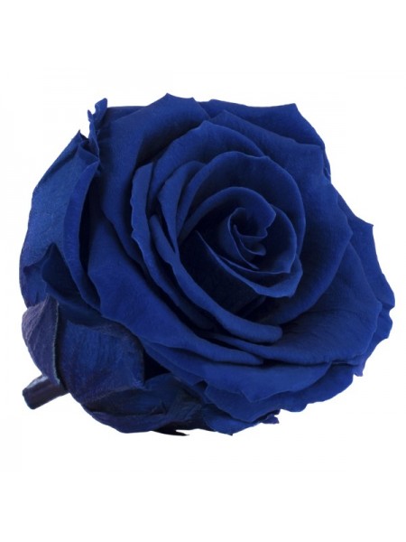 Синяя роза в стеклянной колбе классик